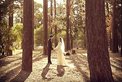 Wedding Photography Labyrinth art photography