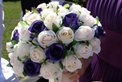 Wedding Flowers Petals n Pods