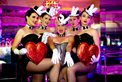 Sapphira's Showgirls - Burlesque Academy
